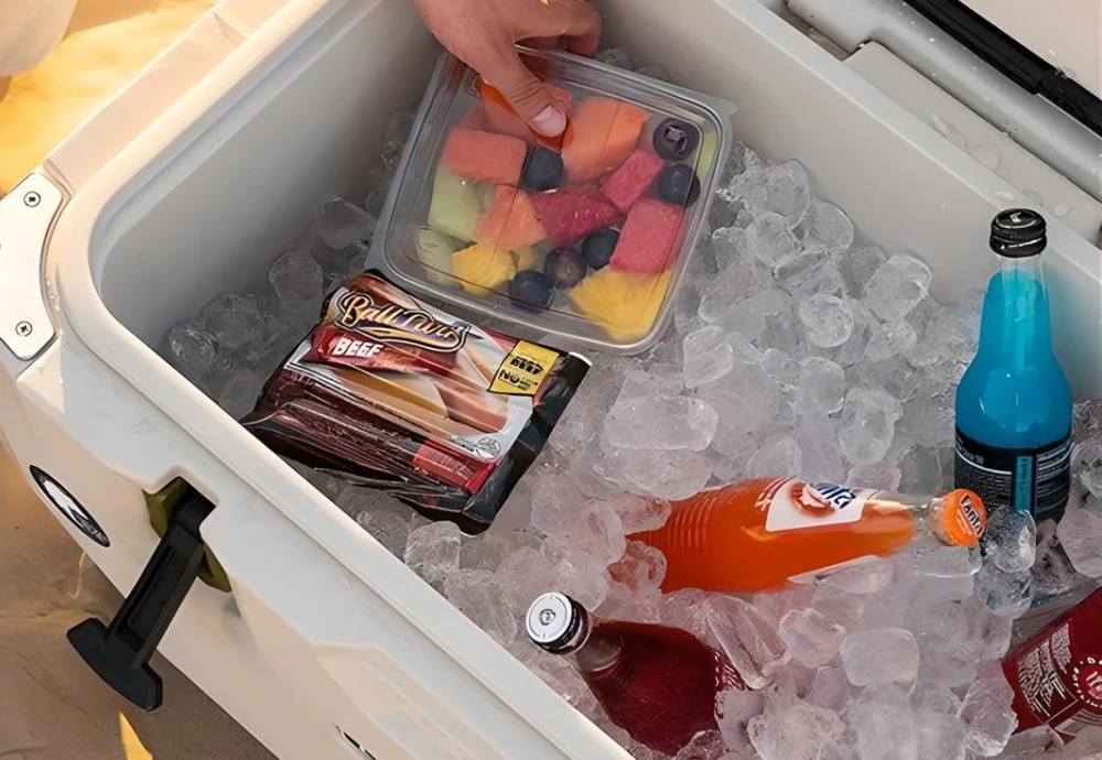 portable ice cream cooler box