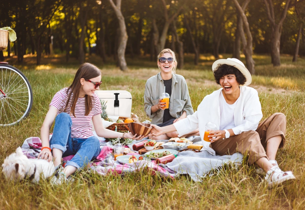 portable ice cream cooler box